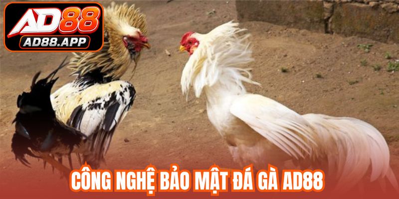 Công nghệ bảo mật đá gà AD88 
